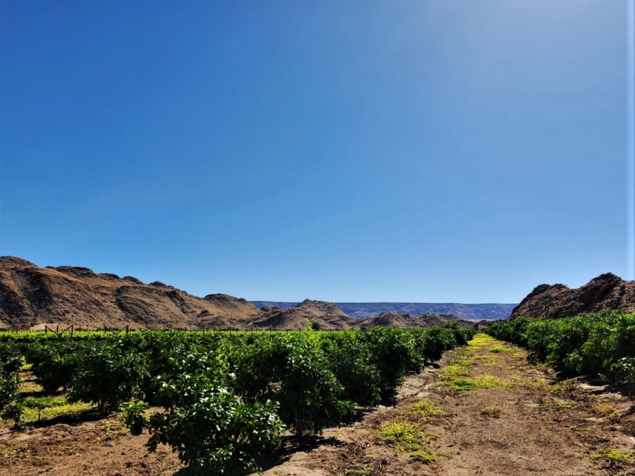 Commercial Property for Sale in Kakamas Rural Northern Cape